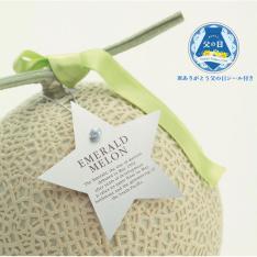 【父の日】エメラルドメロン 星の首飾り＆父の日シール付き