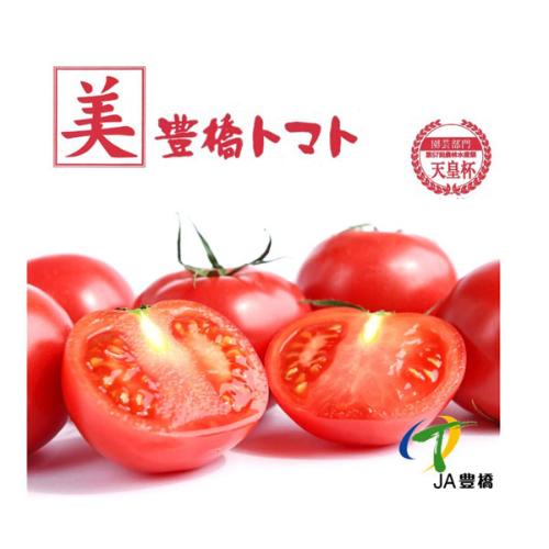 【父の日】＜JA豊橋＞フルーツトマト『美』