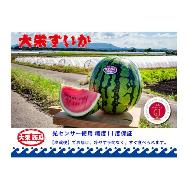 【父の日】＜JA鳥取中央＞糖度11度以上 大栄西瓜