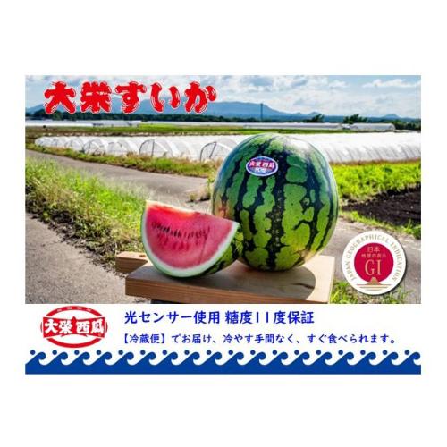 【父の日】＜JA鳥取中央＞糖度11度以上 大栄西瓜