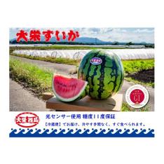 【父の日】＜JA鳥取中央＞糖度11度以上 大栄西瓜