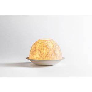 エキュムパール デザートプレート21cm 2枚セット | 商品詳細 | 高島屋