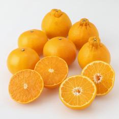 デコポン・せとか詰合せ