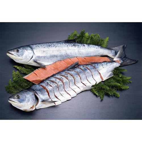 100時間熟成　焼用中辛口秋鮭半身