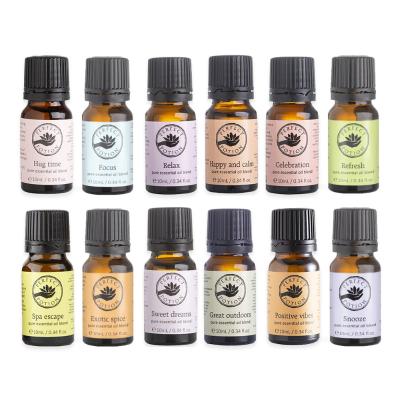 【数量限定】パーフェクトポーション アロマのある素敵な一年に 12smells アロマブレンドオイル ハッピーバッグ