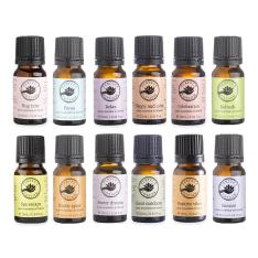 【数量限定】パーフェクトポーション アロマのある素敵な一年に 12smells アロマブレンドオイル ハッピーバッグ