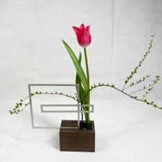 欄(らん) S