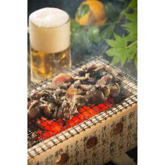 【父の日】＜肉の卸 石井＞美咲どりの炭火焼（塩）4パック