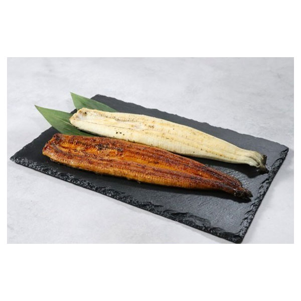 【敬老の日】牝限定「艶鰻（えんまん）」愛知三河一色産紅白一本うなぎ蒲焼