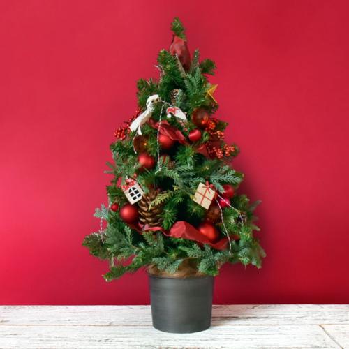 クリスマス ツリー