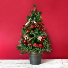 クリスマス ツリー
