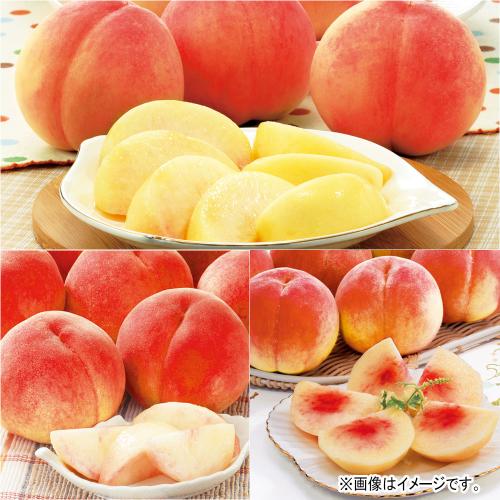 【定期便】桃の味くらべ（7-9月届け）
