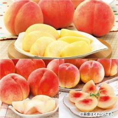 【定期便】桃の味くらべ（7-9月届け）