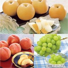 【定期便】東北のフルーツ（8-1月届け）