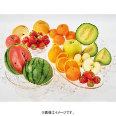 【定期便】旬果実（7-6月届け）