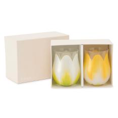 TulipGlass2pcsWH×YE