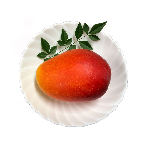 【父の日】宮崎県産マンゴー