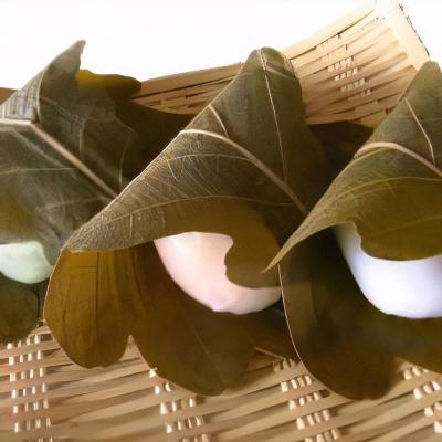 【店頭受取／新宿店】＜中村軒＞かしわ餅3個入【4月25日（土）午後4時30分以降】