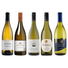 シャブリ入り 世界のシャルドネ白ワイン5本セット