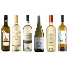 南北イタリア縦断 白ワイン6品種飲み比べセット