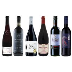 銘醸地厳選 世界の赤ワイン6カ国6品種6本セット