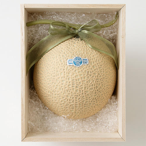 静岡　クラウンメロン