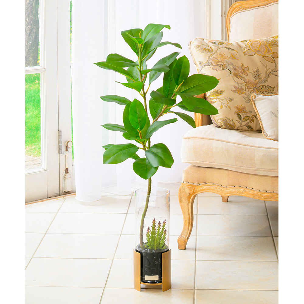 フィカスアルテシーマ2L26