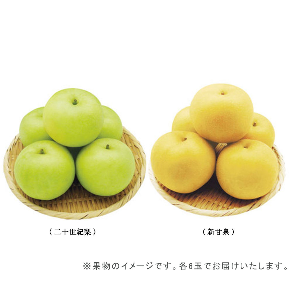 敬老の日】<西澤商店>鳥取県産 二十世紀梨&鳥取県産新甘泉食べ比べセット 商品詳細 高島屋オンラインストア 鳥取県産 新甘泉 梨