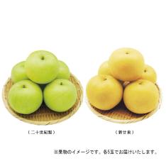 【敬老の日】<西澤商店>鳥取県産 二十世紀梨&鳥取県産新甘泉食べ比べセット