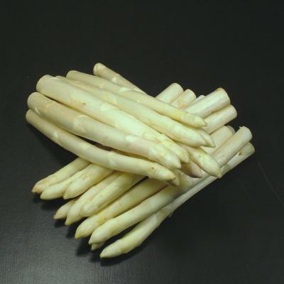 ＜北海道下川産＞ホワイトアスパラ