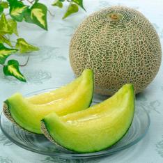 アンデスメロン2玉（熊本県産または茨城県産）