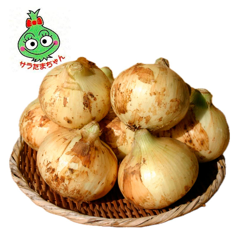 熊本県産 サラたまちゃん3kg