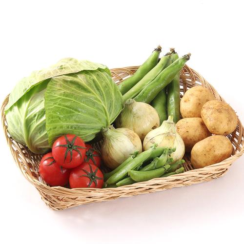 春野菜BOX6品