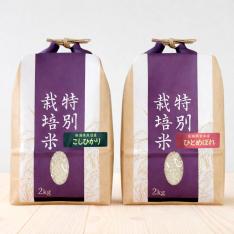特別栽培米こしひかり＆特別栽培米ひとめぼれ