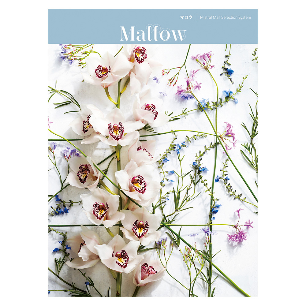 カタログギフト 出産お祝い 高島屋のギフト 高島屋オンラインストア