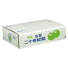 橋本農園　早出し二十世紀梨（5kg／3~4Lサイズ　12~14玉）