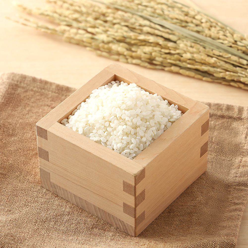 特別栽培米 石川県奥能登産こしひかり2kg×2