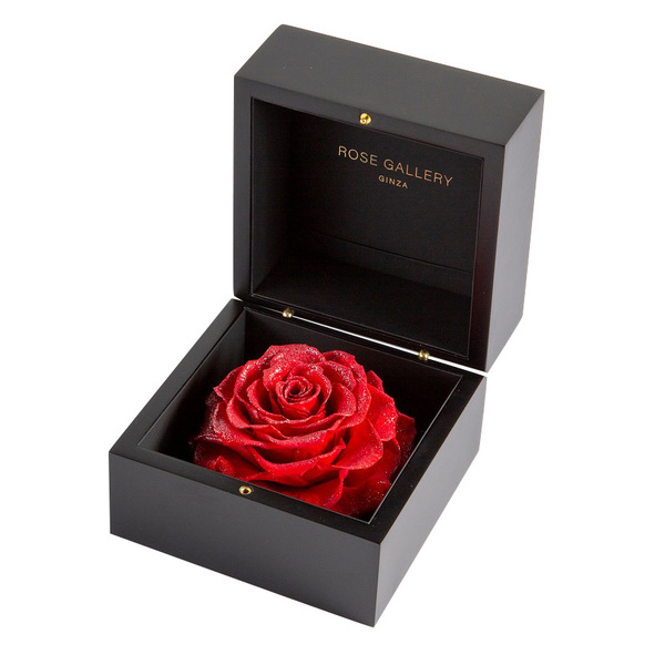 その他 Rose gallery ローズギャラリー ダイヤモンドローズL ブライトレッド｜ローズ