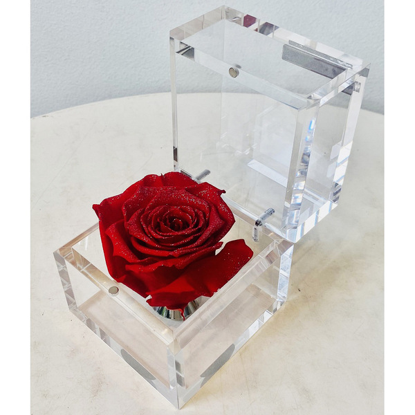 Rose Gallery（ローズギャラリー） | リビング・ホビー