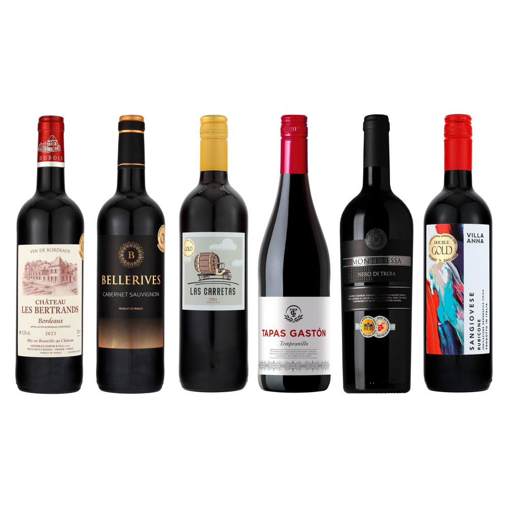 フランス・イタリア・スペイン各2本 金賞受賞赤ワイン飲み比べ6本セット