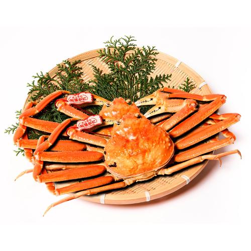 <タグ付き>活〆ボイル松葉蟹2杯セット(約800g×2)