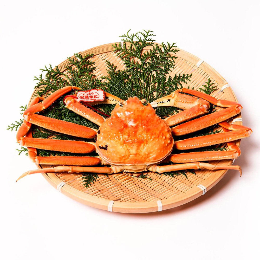 <タグ付き>活〆ボイル松葉蟹(約800g×1)