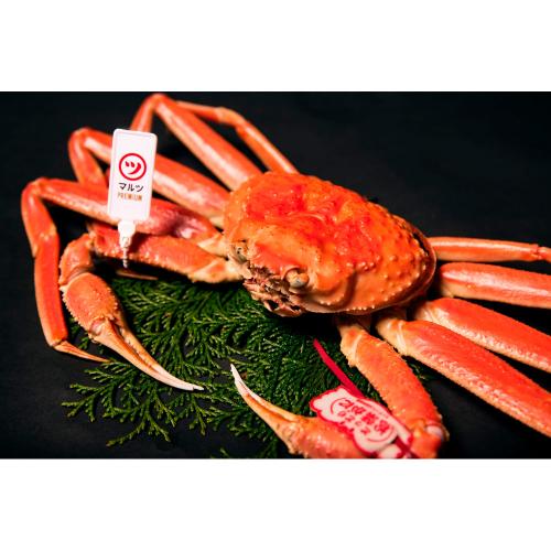 <マルツPREMIUM>活〆ボイル松葉蟹(約900g×1)