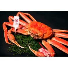 ＜マルツPREMIUM＞活〆ボイル松葉蟹（約900g×1）