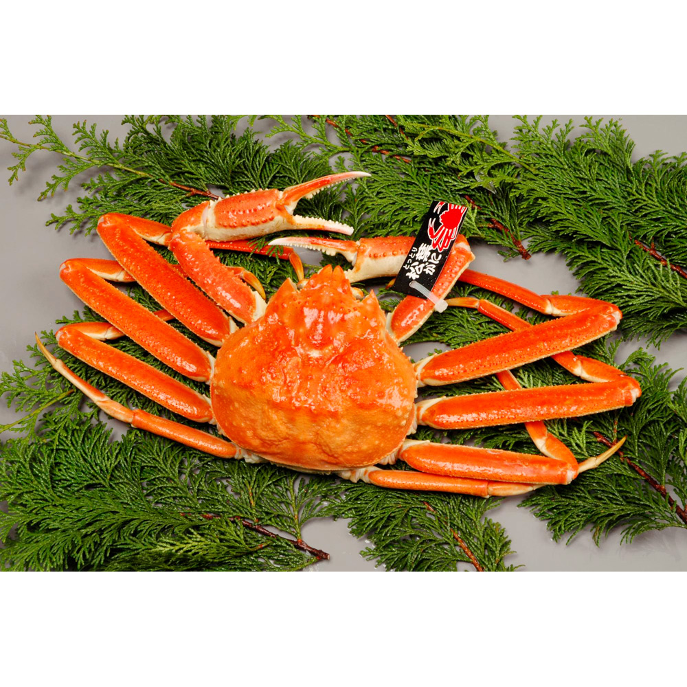 茹で松葉がに(冷凍小3枚)