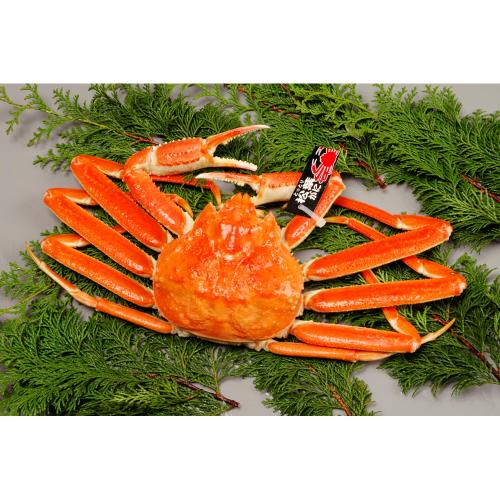 茹で松葉がに(冷凍小3枚)