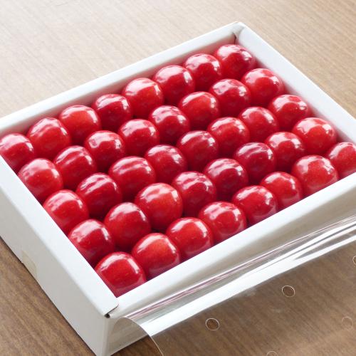 化粧箱入山形県産ハウスさくらんぼ（300g）