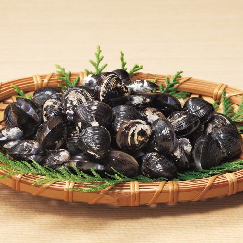 宍道湖産砂抜きしじみ
