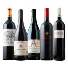 ソムリエ厳選 品種の個性を楽しむ フランス産単一品種赤ワイン5本セット