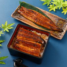 熊本「甲佐養鰻場」限定 うなぎ長蒲焼106g2尾